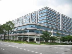 Vertex (D14), Factory #161436712